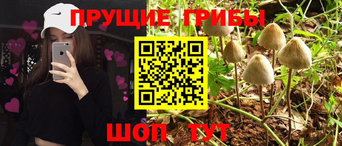 Галлюциногенные грибы мицелий Белгород