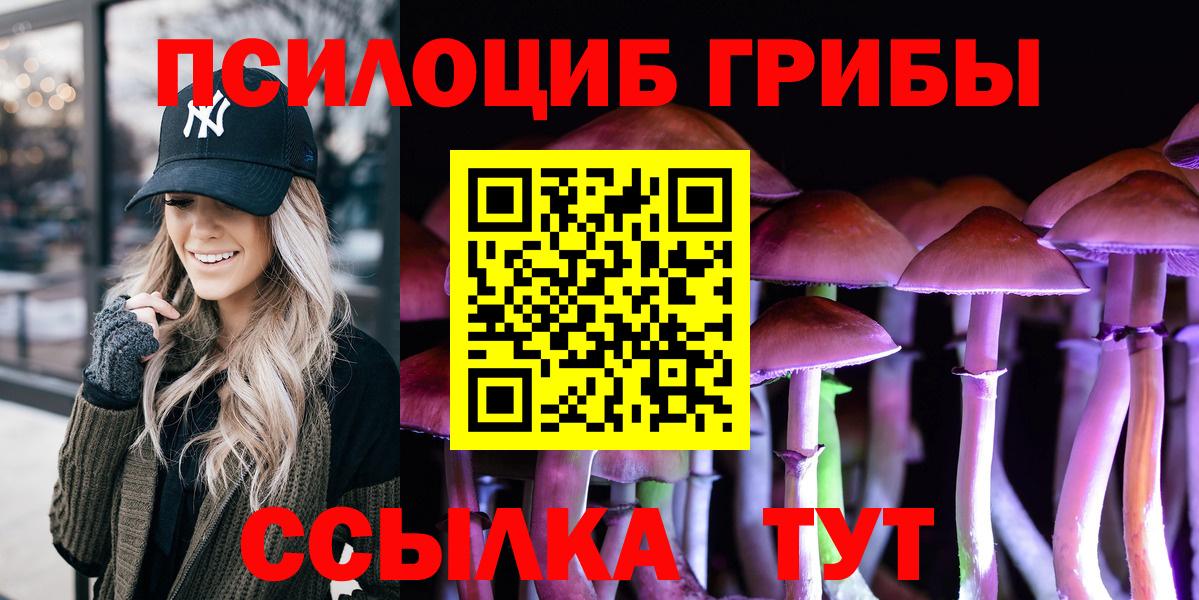Белгород  наркотики  Вход с VPN  Псилоцибиновые грибы прущие грибы  Псилоцибиновые грибы GOLDEN TEACHER 